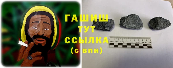 гидра Богородск