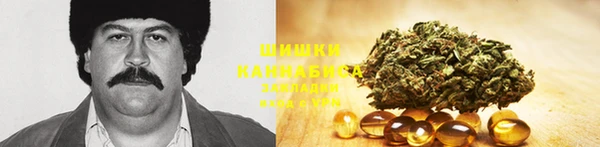 эйфоретик Михайлов