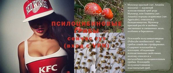 альфа пвп Надым