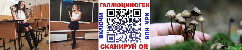 где продают Николаевск-на-Амуре Псилоцибиновые грибы мицелий